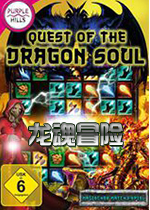 ð(Quest of the Dragon Soul)
